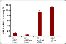 PepFect-mediated gene knockdown