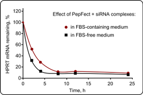 Kinetics of downregulation